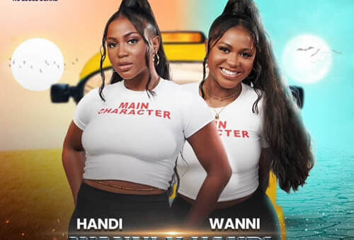 Wanni and Handi - Big Brother Naija season 9 housemates in 2024