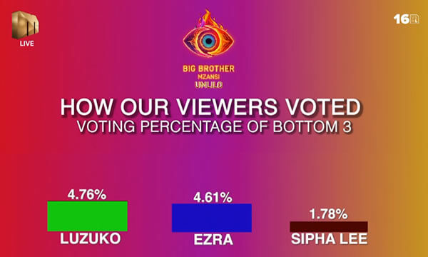 Big Brother Mzansi Season 5 Week 4 Voting Results in 2025