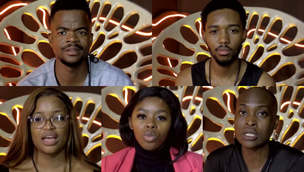 Big Brother Mzansi Season 5 ‘Umlilo’ finalists in 2025